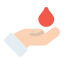 Favicon